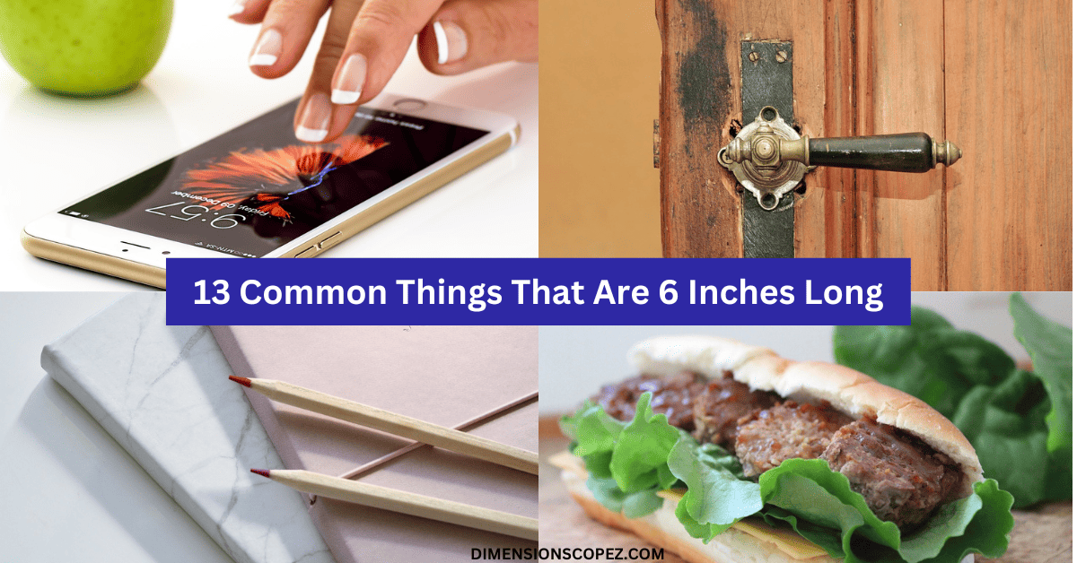 13 Common Things That Are 6 Inches Long