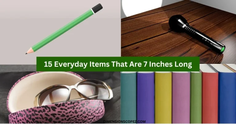 15 Common Things That Are 7 Inches Long
