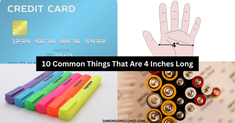 10 Common Things That Are 4 Inches Long