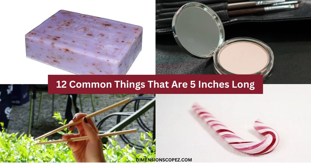 12 common things that are 5 inches long