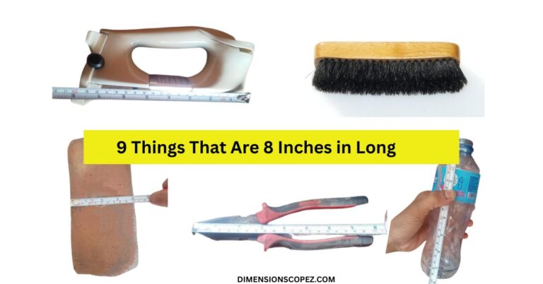 Common Things That Are 8 inches Long