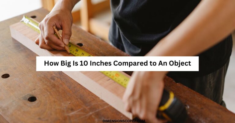 How Big Is 10 Inches Compared to An Object?