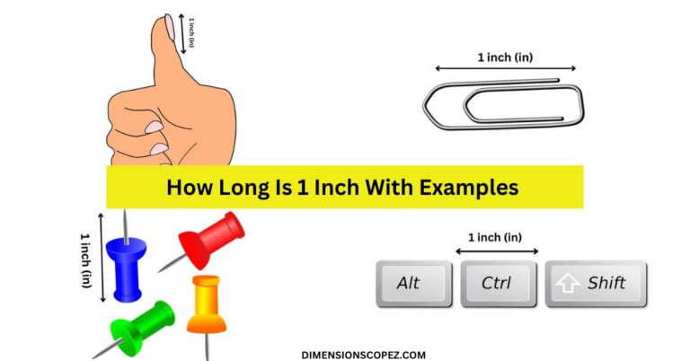 Common Things That Are 1 Inch Long
