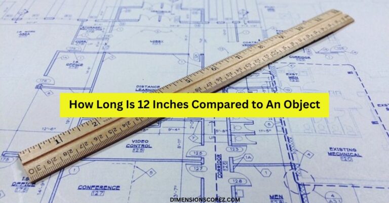 Common Things that are 12 inches long/Big