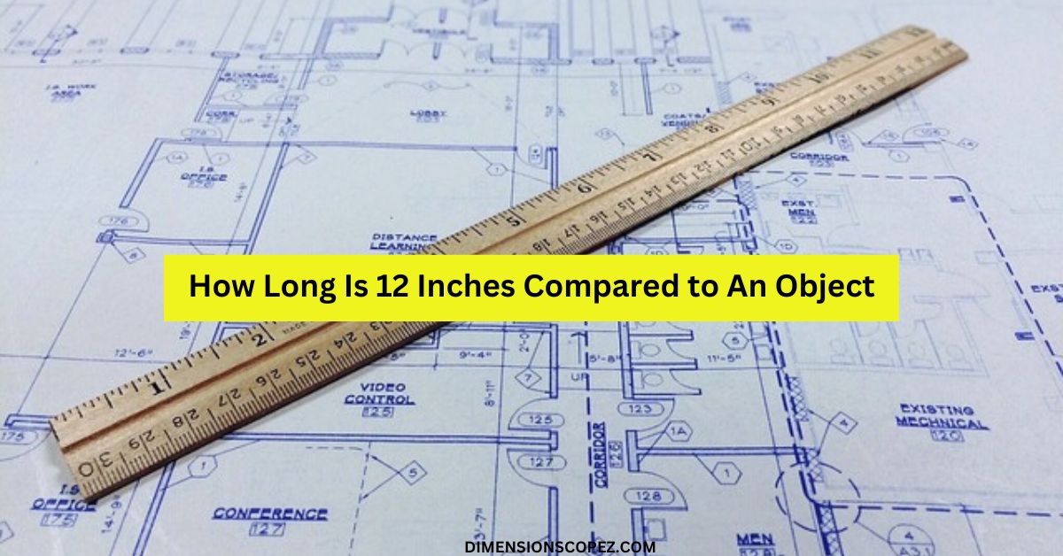 How Long Is 12 Inches Compared to An Object