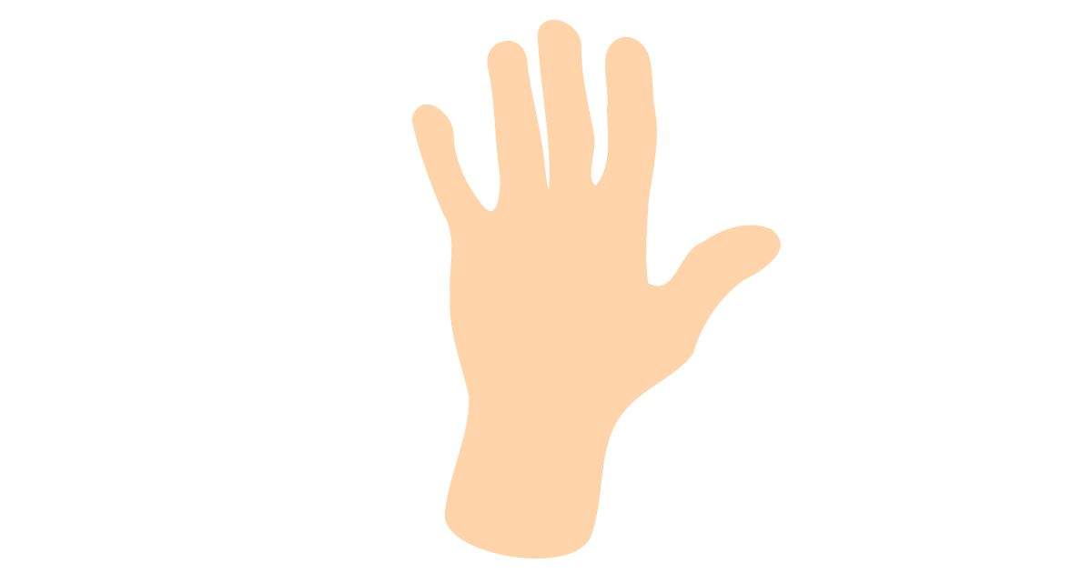 Common Things That Are 8 inches Long