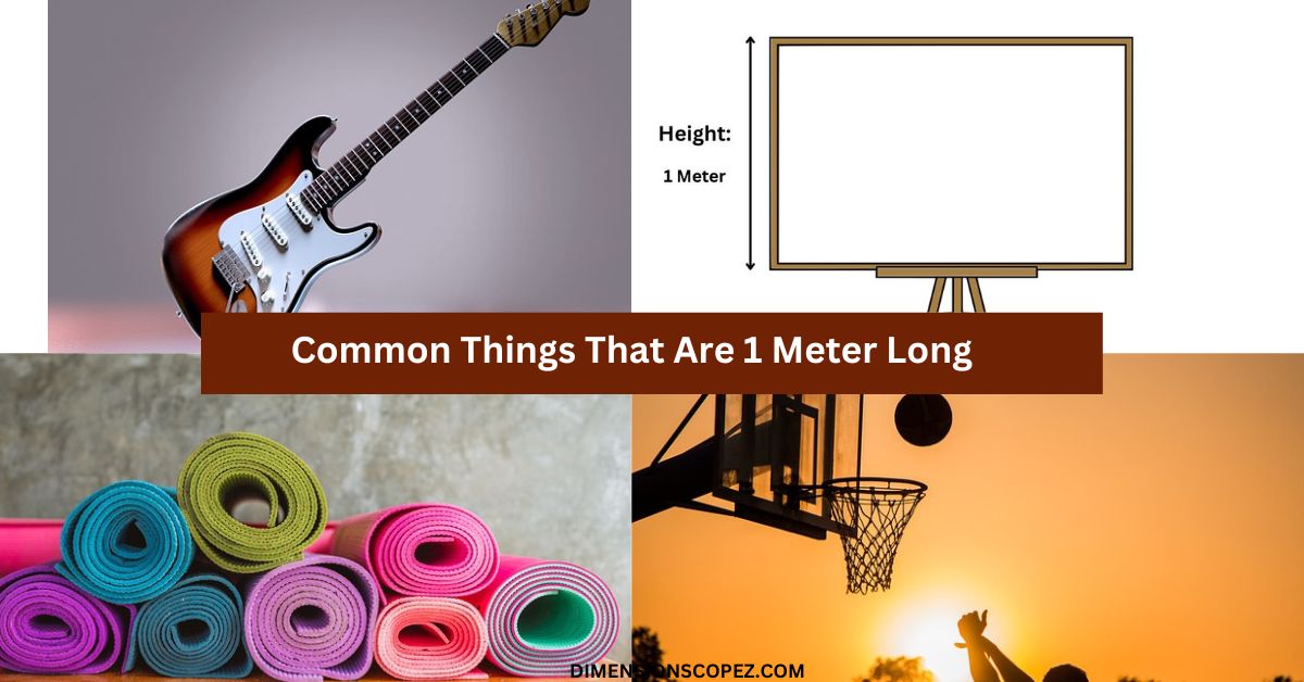 Common Things That Are 1 Meter Long