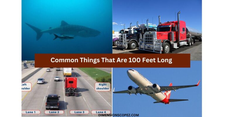 10 Things That Are 100 Feet (ft) Long