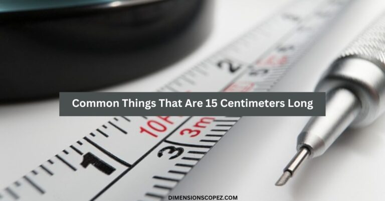 10 Common Things That Are 15 Centimeters Long