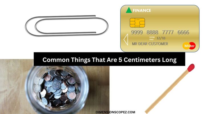 9 Common Things That Are 5 Centimeters Long