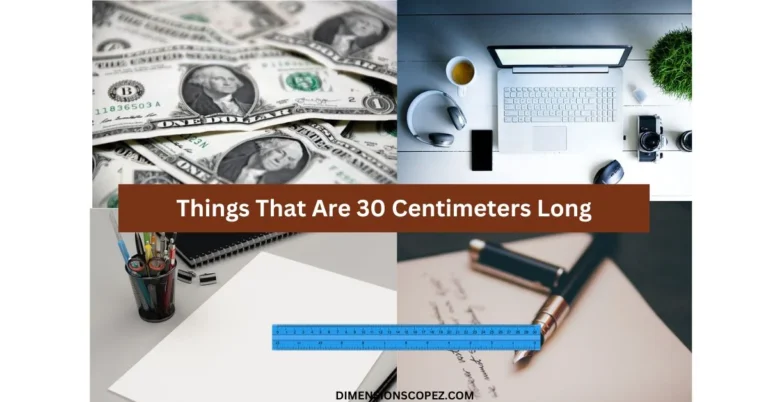 11 Common Things That Are 30 Centimeters Long