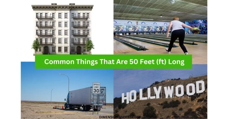 10 Things That Are 50 Feet Long or Big