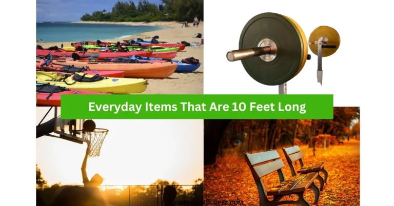 11 Things and Animals That Are 10 Feet Long
