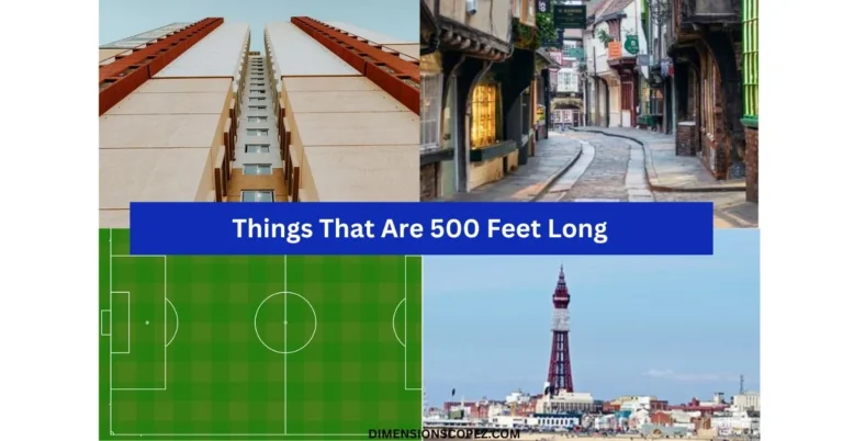 8 Things That Are 500 Feet Long or Big