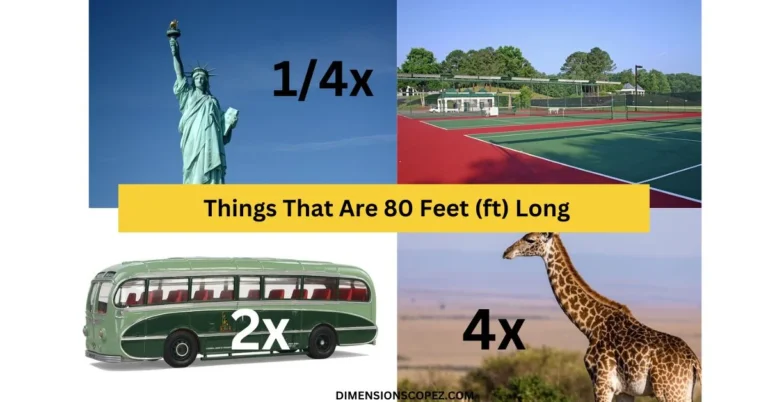 9 Things That Are 80 Feet (ft) Long