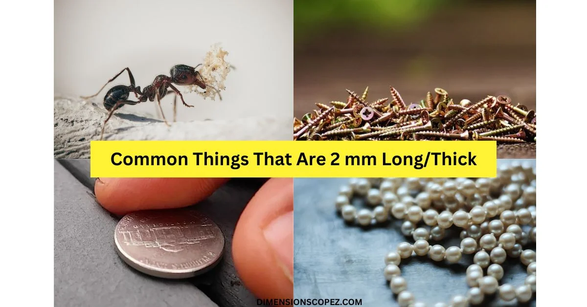 Common things That Are 2 millimeters (mm) Long/thick