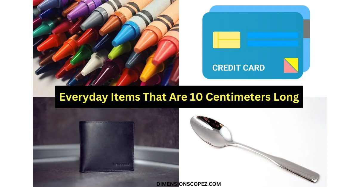 Everyday Items That Are 10 centimeters Long