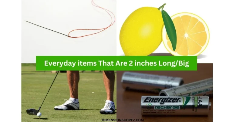 11 Everyday Items that are 2 inches Long/Big