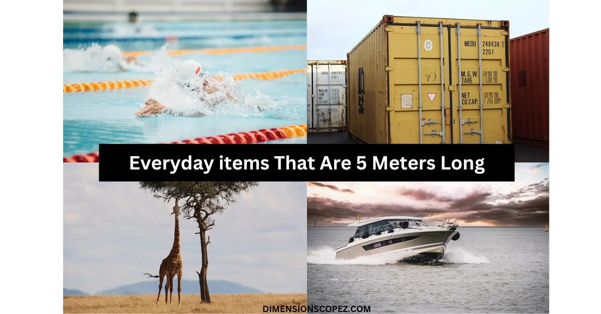 Everyday items That Are 5 meters Long/Big
