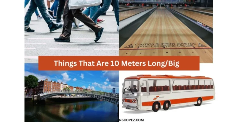 10 Things That Are 10 Meters Long/Big