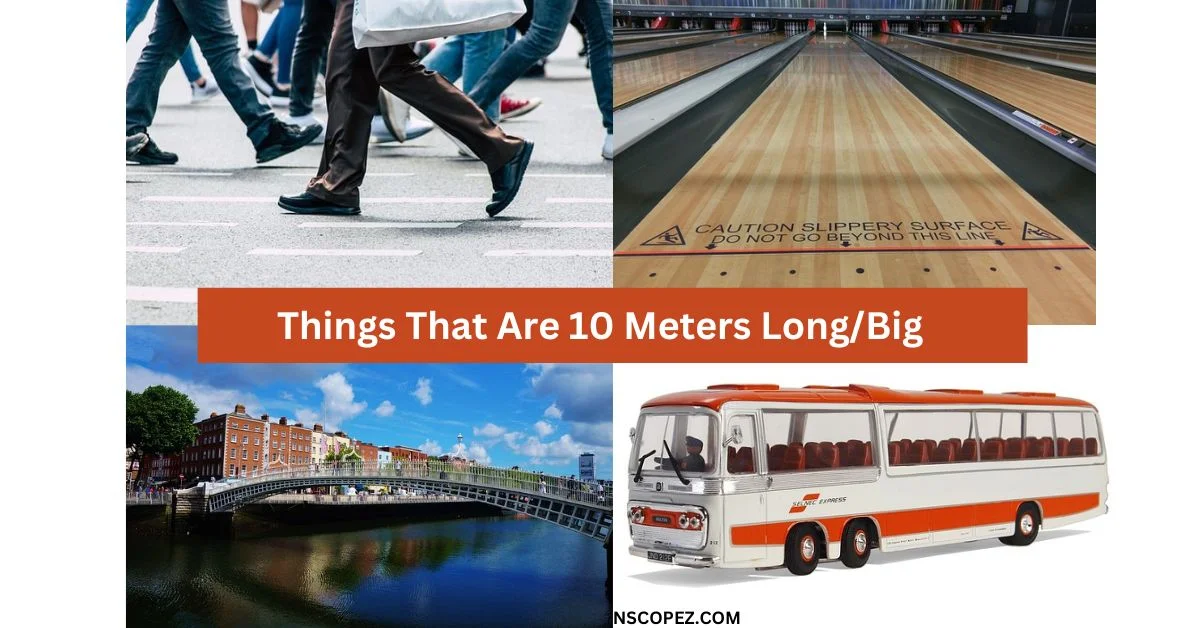 Things That Are 10 Meters Long/Big