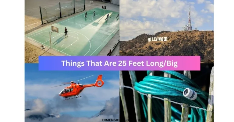 11 Things That Are About 25 Feet Long/Big