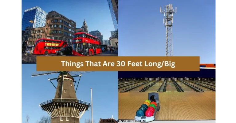 9 Things That Are 30 Feet Long/Big