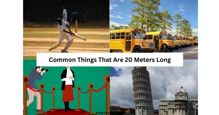 11 Things That Are About 25 Feet Long/Big