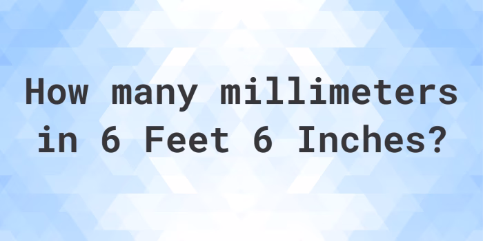 How Many Millimeters is 6 Inches e1731316707503