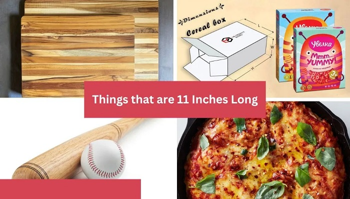 Common Items That Are About 11 Inches Long