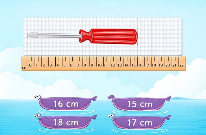Common Objects That Measure About 18cm