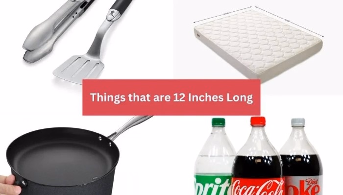 Everyday Examples of 12 Inches