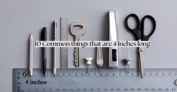 things that are 4 inches 1