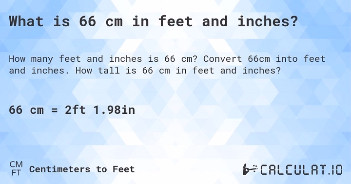 Imagining 66 cm: Real-Life Comparisons and Uses