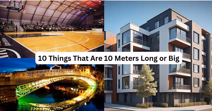 Understanding the Length of 10 Meters in Everyday Life