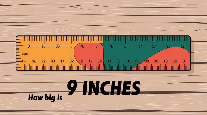 Understanding the Length of 9 Inches: Everyday Comparisons and Practical Uses