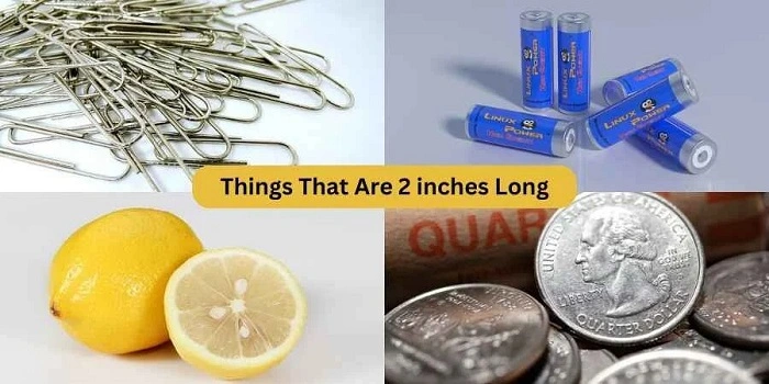 Visualizing 2 Inches