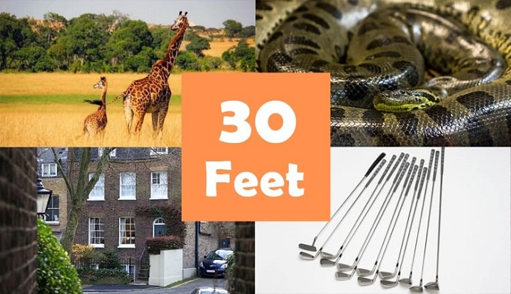 How Long Is 30 Feet Visually? Everyday Comparisons to Understand 30 Feet
