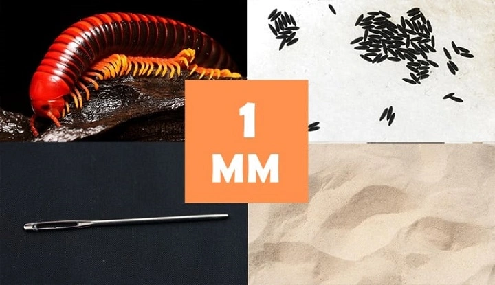 Things That Are 1mm: Visualizing the Tiny Measurement