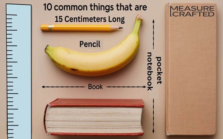 15 cm in Real Life Conversion