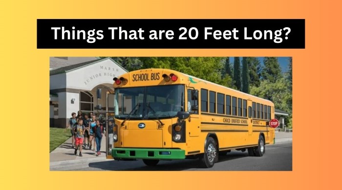 20 Feet Examples Daily