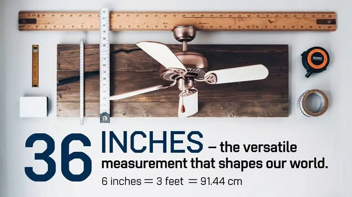 Everyday Examples of 36 Inches