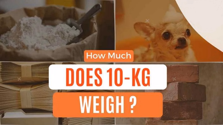 how heavy is 10kg