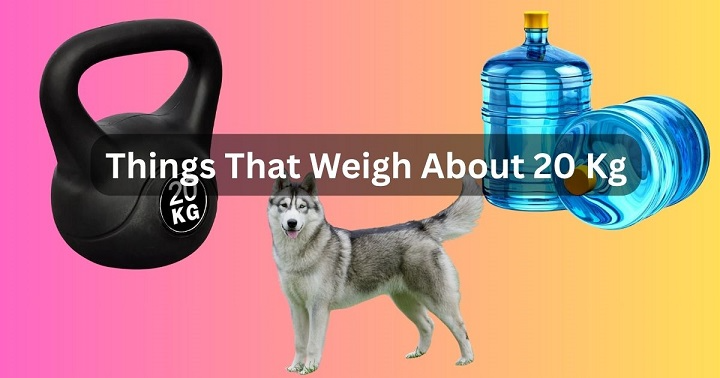What is 20kg: Conversions, Real-Life Comparisons and Everyday Meaning