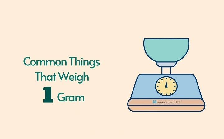 what weighs a gram 1