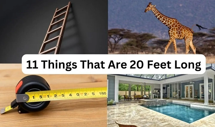 20 Feet Visualized: Understanding How Long 20 Feet Really Is