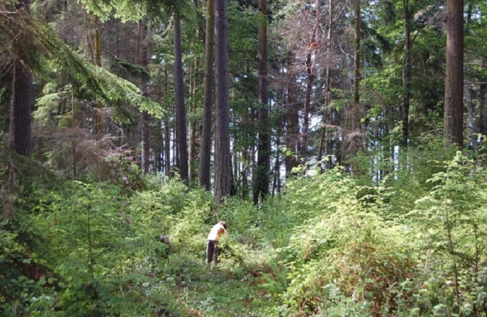 500 Feet out of Nature and outdoors.