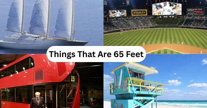 65 Feet in Everyday Life