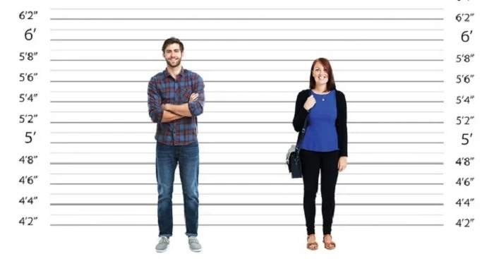 SIZE 12 Inches in Comparison to Human Height.