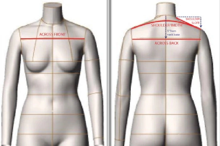 What Is Shoulder to Shoulder Measurement 1